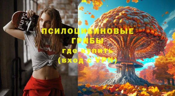 герыч Вязьма