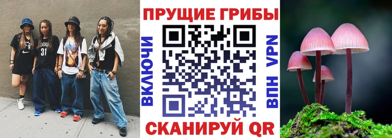 Купить где  Бологое  Псилоцибиновые грибы мицелий 